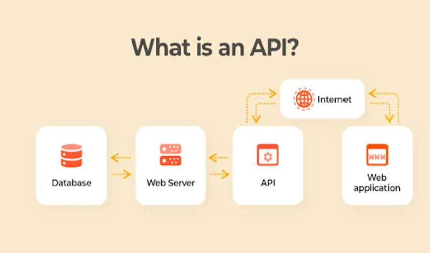 What is an API? (Programming Interface Guide)